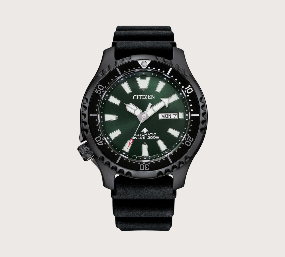 Citizen Promaster Diver Automatic watch